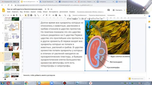 Как не заблудиться в биологическом мире. Авторский курс Николаса "Мир вокруг нас" смотреть онлайн