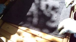 Отводок из роевого маточника)