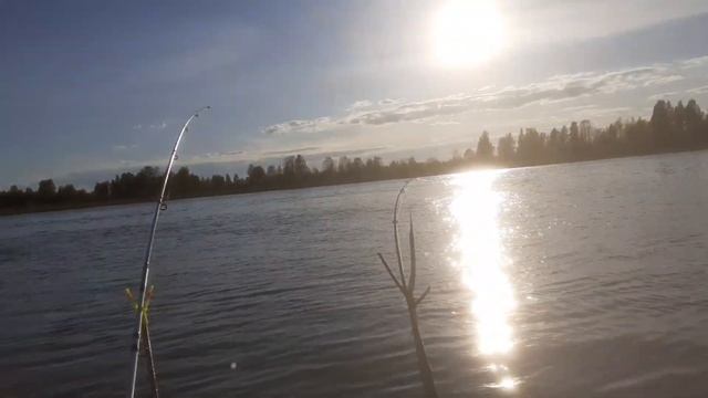 Рыбалка на реке Нарова смотреть онлайн