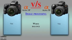 Sony Alpha 37 vs Sony Alpha 55