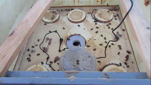 холстик и пленка ушли в прошлое, полностью перевел все ульи на потолочины - 23 января 2023 года