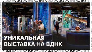 Москвичам рассказали об уникальной выставке в павильоне "Атом" на ВДНХ - Москва 24