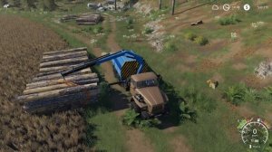 FS 19 - Пилю лес. Вывожу лес с делянки - KALADOR фермер лесоруб # 21