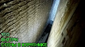 ЧТО МЕЖДУ СТЕНАМИ В КУРЯТНИКЕ-WHAT'S BETWEEN THE WALLS IN THE CHICKEN COOP
