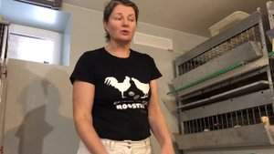 Когда курятник в подвалe жилого дома. Нет ли запаха?