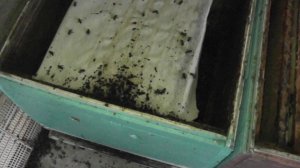 Ну что стесняться то