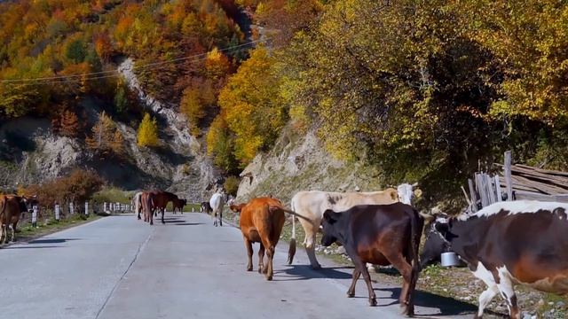 Живём с женой в машине. Путешествуем на авто по Грузии. Часть 1 смотреть онлайн