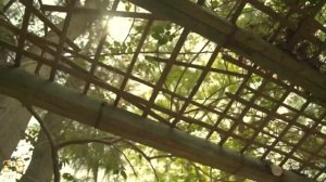 Kids swimwear | fashion video 2S