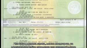 Метрика щенка: что это такое, как выглядит образец