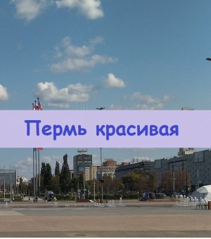 Клумбы в центре Перми с хвойниками, гортензиями и злаками - очень красиво и торжественно