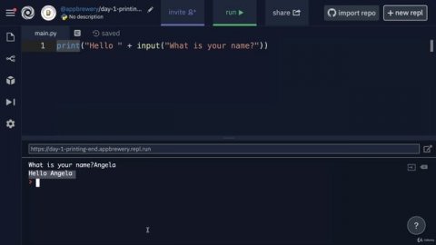 Day 1 - Working with Variables in Python to Manage Data - 009 The Python Input Function