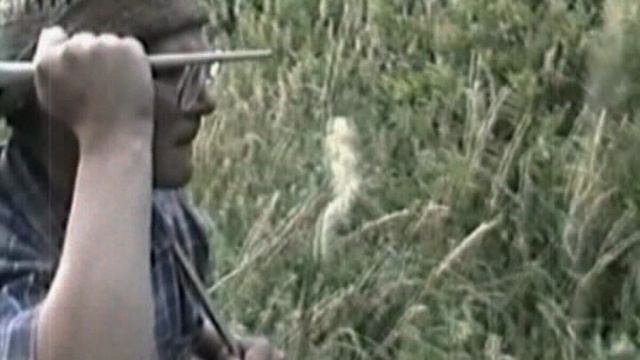 МЕСТЬ ХУДОЖНИКА / Revenge of Artist (2008)