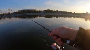 Москва-река. Стритфишинг, следующие шаги