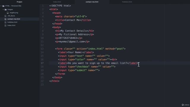 HTML Forms | 100 Days of Code: The Complete Python Pro Bootcamp for 2022