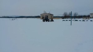 Пневмоход из бензопилы. Моя первая самоделка.
