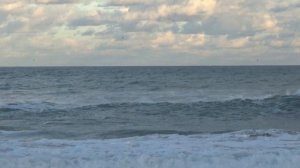 Наталья Фальконе - продаются картины. Лена Хеппи - авторские открытки. Галина Смит-финиш