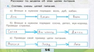 Окружающий мир. Рабочая тетрадь 3 класс 1 часть. ГДЗ стр. 56 №4