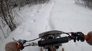 ПОКАТУШКА ЗИМОЙ НА ПИТБАЙКЕ ПО СНЕЖНОМУ ЛЕСУ