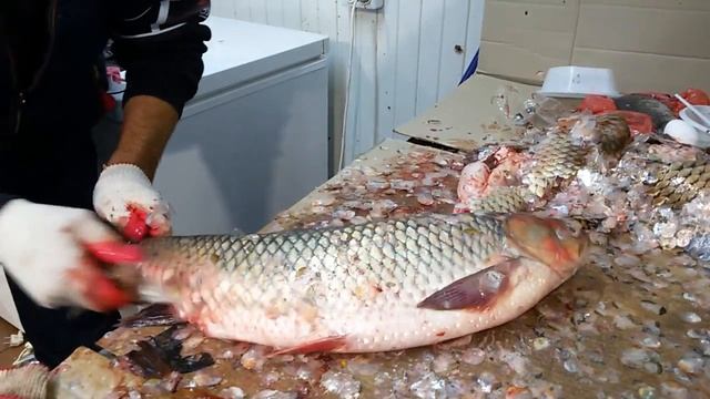 Fish Market , Russia.