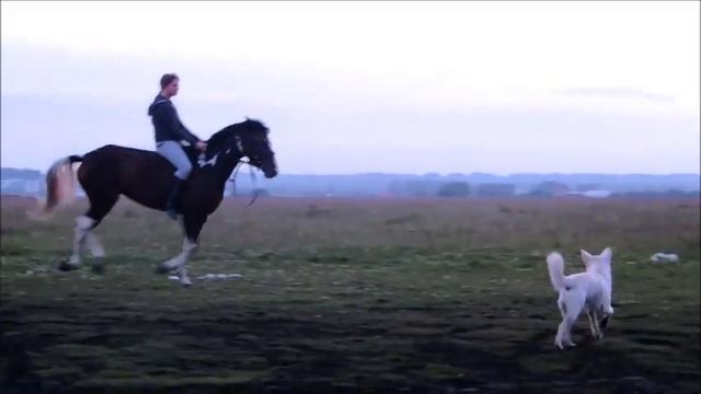 Первый галоп без седла смотреть онлайн