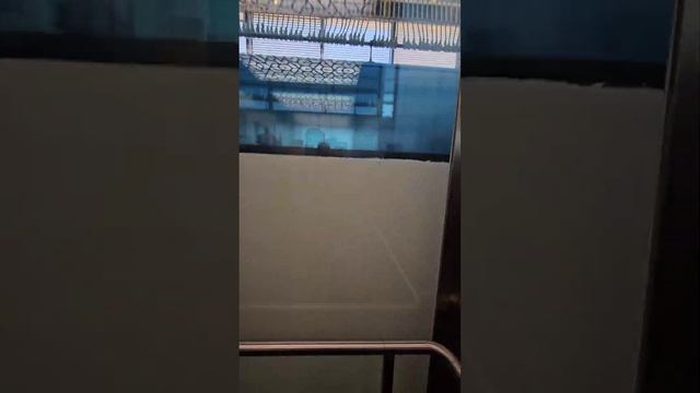 Светлогорск смотреть онлайн