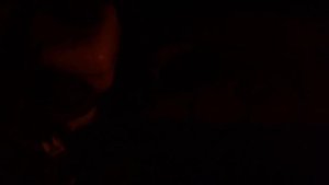 Вой двигателя  SsangYong Actyon бензин.