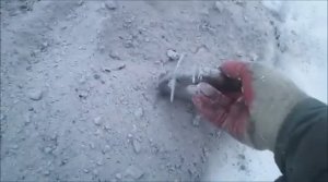 Как собрать гвозди в дресной золе