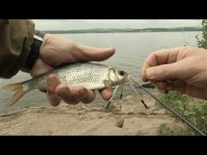 Таватуй 24. 07. 2024