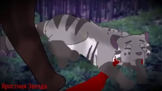 Коты - Воители Остролистая - Monster  Заказ  С ДНЮХОЙ АЛИНА! читать описание