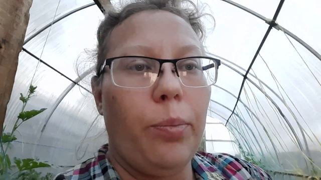 На огурцах пустоцвет? Сделайте так и будете с огурцами!!! смотреть онлайн