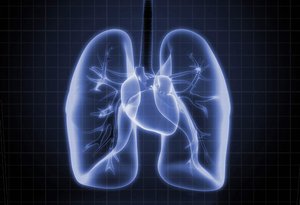 Освобождение от сладкомании, Галина Гроссманн.mp4
..привет Волочковой ... мочи еврофаков ...!!!АП