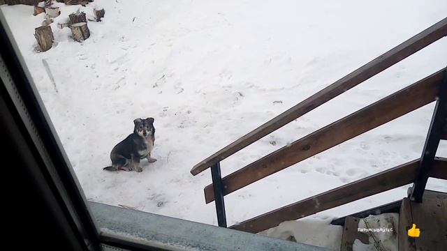 Кто в Доме Хозяин. смотреть онлайн