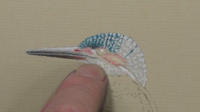 Draw a Kingfisher | Pastel Pencils смотреть онлайн