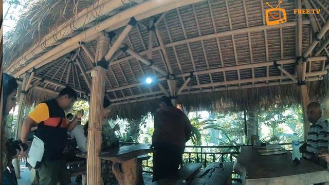Bali Vlog Indian | Bali is Unique | Episode 3 | luwak coffee safe ? | Bali Swing Price ? | FREETV