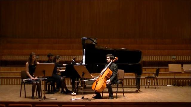 Martinu Trio for Flute Cello and Piano, Trio Pańska смотреть онлайн