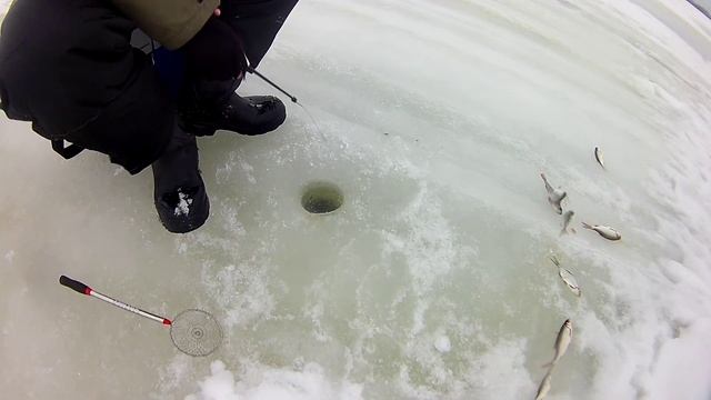 Рыбалка в Хмелевке(Нижегородская обл) смотреть онлайн