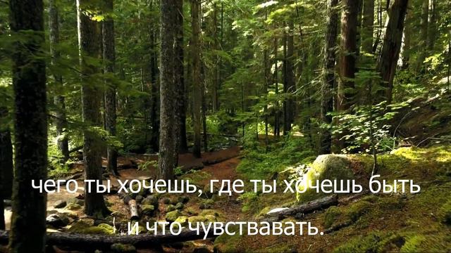 Состояние покоя[вдохновение]