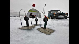 ЭТИ 3 ЖЕРЛИЦЫ СДЕЛАЛИ НАШУ РЫБАЛКУ! РЫБАЛКА НА ЖЕРЛИЦЫ!