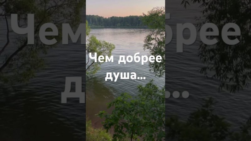 Чем добрее душа… #мудрость #добраядуша #сложнаясудьба