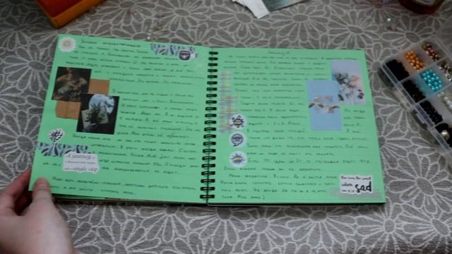 Обзор на завершённый личный дневник смотреть онлайн