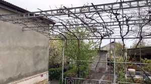 Влог: УРАЗА БАЙРАМ в селе | Праздник Ид Аль Фитр ?✨