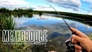 Рыбное мелководье. Активный МОРМЫШИНГ