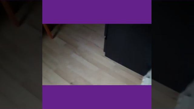 Д.Р Моей младшой сестры #4/ Подарки! /// смотреть онлайн