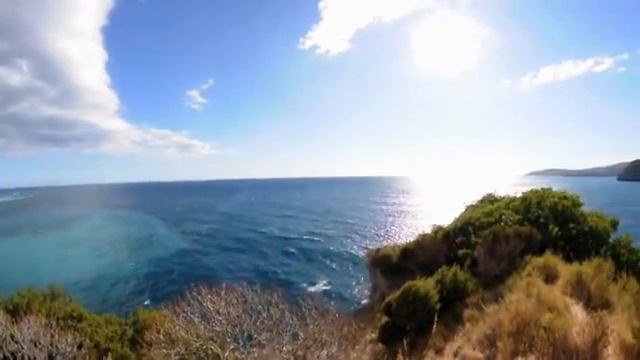 “ACROPOLIS GROUP” DOO смотреть онлайн