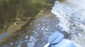 мотор suzuki DT5 лодка silverado 33S