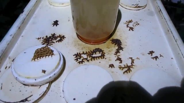 можно ли пчелам в августе обновлять гнездовые рамки и ставить вощину на отстройку - часть 1 смотреть онлайн