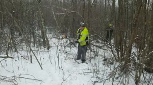 Мотоблок МТЗ-09Н в экстремальных условиях. Дрова.