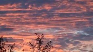 Пираты санататура или рыбалка в Котласе