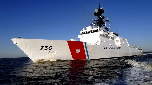 Сотни птиц окружили самолёт и вынудили совершить посадку. Пассажиры, узнав причину, были в шоке! смотреть онлайн