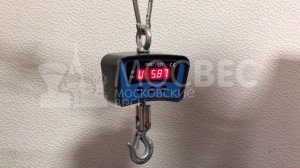 Крановые весы «ВЭК-150» 150 кг, «ВЭК-300» 300 кг, «ВЭК-500» 500 кг
